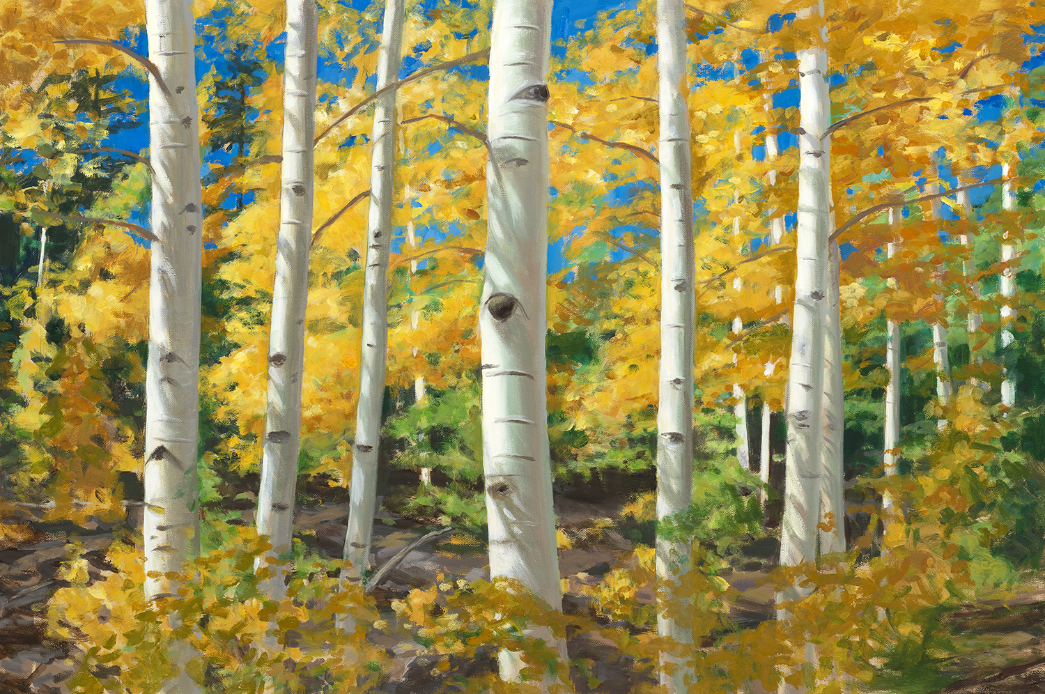 Colorado Aspens by Lynne Adams