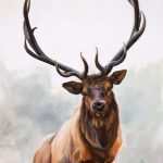 Painting of an Elk by Julia Bacon